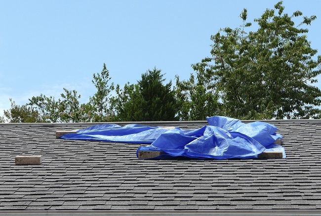 The Dangerous Costs Of DIY Roof Repair Vera Roofing Construction