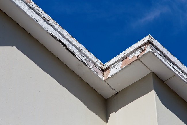 Three Dangers Of Rotten Wood In Your Home Vera Roofing Construction