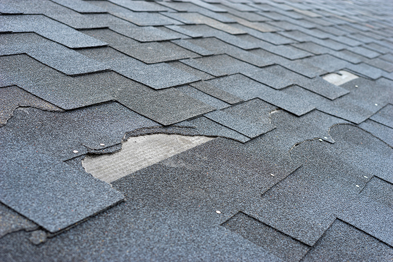 Tapping into Professional Roofing Services: Preventing Further Damage