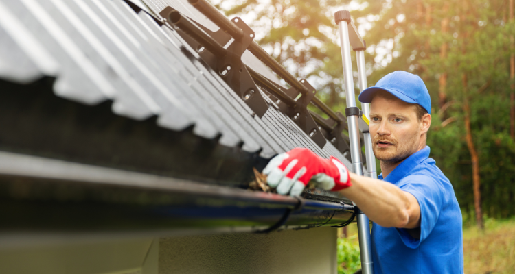 Why regular gutter cleaning is essential for your home